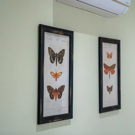 Hagah Alojamentos * Guimarães