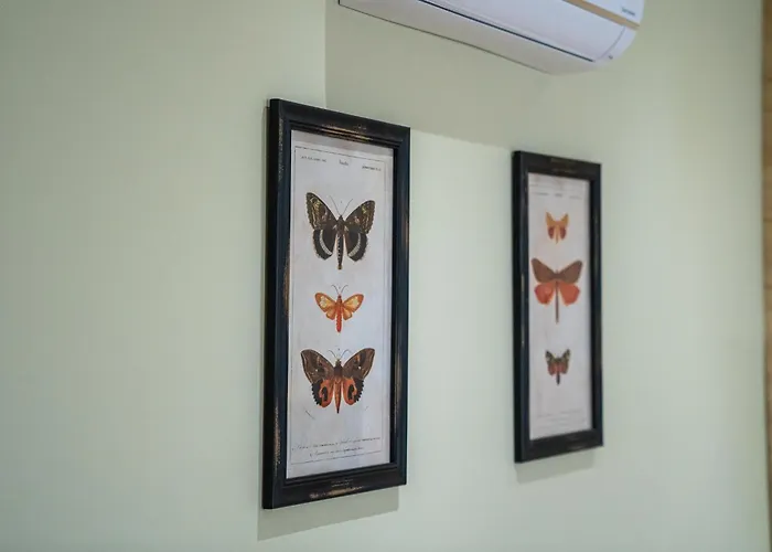 Hagah Alojamentos * Guimaraes